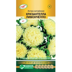 Цветы Астра Хризантелла Лимончелло (высокий куст) 5 шт Евросемена Цветы Астра Хризантелла Лимончелло (высокий куст) 5 шт Евросемена