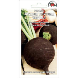 Редька Зимняя круглая Черная (среднесп. 250-550 гр) 2 гр ЗС Редька Зимняя круглая Черная (среднесп. 250-550 гр) 2 гр ЗС