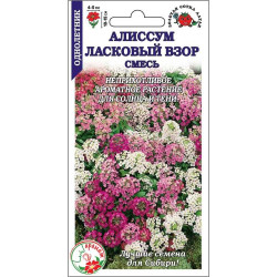Цветы Алиссум Ласковый взор смесь (h-10-15см d-4-5см) 0,1 гр ЗС Цветы Алиссум Ласковый взор смесь (h-10-15см d-4-5см) 0,1 гр ЗС