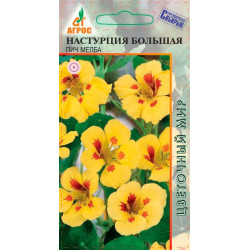 Цветы Настурция Большая Пич Мелба (карлик, крем) 1 гр Агрос Цветы Настурция Большая Пич Мелба (карлик, крем) 1 гр Агрос