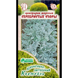 Цветы Цинерария СЕРЕБРИСТЫЕ УЗОРЫ (выс 20-25 см) 20 шт Евросемена Цветы Цинерария СЕРЕБРИСТЫЕ УЗОРЫ (выс 20-25 см) 20 шт Евросемена