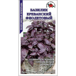 Базилик Ереванский фиолет (среднесп, гвоздичный аромат) 0,5 гр ЗС Базилик Ереванский фиолет (среднесп, гвоздичный аромат) 0,5 гр ЗС