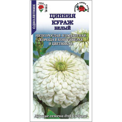 Цветы Цинния Кураж Белый (h-35см d-9см) 0,2 гр ЗС Цветы Цинния Кураж Белый (h-35см d-9см) 0,2 гр ЗС