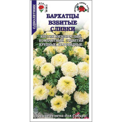Цветы Бархатцы Взбитые Сливки (прям. белые 35см, d-7см) 0,1 гр ЗС Цветы Бархатцы Взбитые Сливки (прям. белые 35см, d-7см) 0,1 гр ЗС
