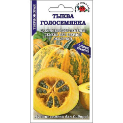 Тыква Голосемянка (среднеран. 5-8кг желтая с зелен. полоск) 2 гр ЗС Тыква Голосемянка (среднеран. 5-8кг желтая с зелен. полоск) 2 гр ЗС
