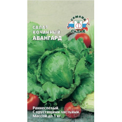 Салат айсберг Авангард (ранний,кочан,курчавый,сочный) 0,5г Седек Салат айсберг Авангард (ранний,кочан,курчавый,сочный) 0,5г Седек