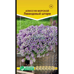 Цветы Алиссум ЛАВАНДОВЫЙ ШТОРМ (выс 30 см) 0,1 гр Евросемена Цветы Алиссум ЛАВАНДОВЫЙ ШТОРМ (выс 30 см) 0,1 гр Евросемена