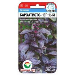 Базилик Бархатисто-черный (ранний, выс 50 см, фиолет) 0,5 гр Сиб сад Базилик Бархатисто-черный (ранний, выс 50 см, фиолет) 0,5 гр Сиб сад