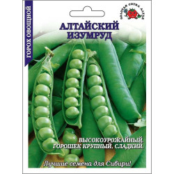 Горох Алтайский изумруд БОЛЬШОЙ (раннесп. овощ. 45-60см) 25 гр ЗС