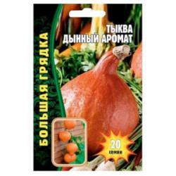 Тыква Дынный Аромат (ранний, 2 кг) 15 шт Экзоты Тыква Дынный Аромат (ранний, 2 кг) 15 шт Экзоты
