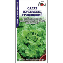 Салат Кучерявец Грибовский (среднеспел) 240-450 гр) ЗС Салат Кучерявец Грибовский (среднеспел) 240-450 гр) ЗС