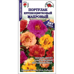 Цветы Портулак Махровый крупноцветковый смесь (h-20см, d-6см) 0,1 гр ЗС Цветы Портулак Махровый крупноцветковый смесь (h-20см, d-6см) 0,1 гр ЗС