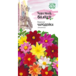 Цветы Георгина Чародейка (одн,45 см,смесь) 0,3 гр сер Чудесный балкон Гавриш Цветы Георгина Чародейка (одн,45 см,смесь) 0,3 гр сер Чудесный балкон Гавриш