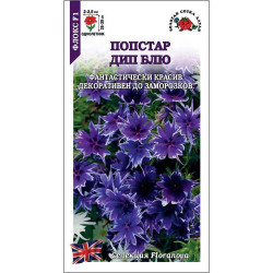 Цветы Флокс Попстар Блю (h-25-30см d-2,5см) 5 шт ЗС Цветы Флокс Попстар Блю (h-25-30см d-2,5см) 5 шт ЗС
