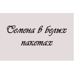 Базилик Рубиновый карлик 0,1 г б/п с евроотв. Гавриш Базилик Рубиновый карлик 0,1 г б/п с евроотв. Гавриш