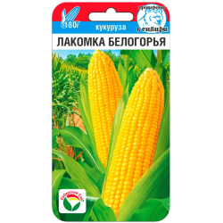 Кукуруза Лакомка Белогорья (ранний, 180 гр) 6 шт Сиб сад Кукуруза Лакомка Белогорья (ранний, 180 гр) 6 шт Сиб сад