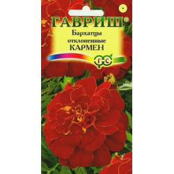Цветы Бархатцы Кармен Тагетес (однолет,25см, желт) 0,3 г Гавриш Цветы Бархатцы Кармен Тагетес (однолет,25см, желт) 0,3 г Гавриш