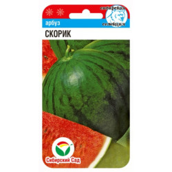 Арбуз Скорик (ранний, 3-6 кг) 5 шт Сибирский сад Арбуз Скорик (ранний, 3-6 кг) 5 шт Сибирский сад