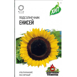 Подсолнечник Енисей (ультраскоросп, 25-40 см корзинка) 5 гр Металлизир Гавриш Подсолнечник Енисей (ультраскоросп, 25-40 см корзинка) 5 гр Металлизир Гавриш