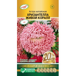 Цветы Астра ХРИЗАНТЕЛЛА ЖИВОЙ КОРАЛЛ (для срезки, до 15 цветов на кусту) 5 шт Евросемена Цветы Астра ХРИЗАНТЕЛЛА ЖИВОЙ КОРАЛЛ (для срезки, до 15 цветов на кусту) 5 шт Евросемена