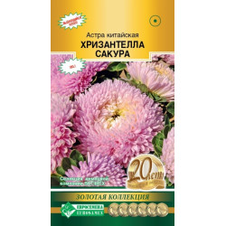 Цветы Астра ХРИЗАНТЕЛЛА САКУРА (для срезки, до 15 цветов на кусту) 5 шт Евросемена Цветы Астра ХРИЗАНТЕЛЛА САКУРА (для срезки, до 15 цветов на кусту) 5 шт Евросемена