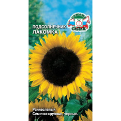 Подсолнечник Лакомка (ранний, корзинка большая) 5 гр Седек Подсолнечник Лакомка (ранний, корзинка большая) 5 гр Седек