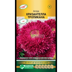 Цветы Астра ХРИЗАНТЕЛЛА ТРОПИКАНА (для срезки, до 15 цветов на кусту) 5 шт Евросемена Цветы Астра ХРИЗАНТЕЛЛА ТРОПИКАНА (для срезки, до 15 цветов на кусту) 5 шт Евросемена